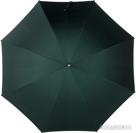 Pasotti Cervo Punto Verde