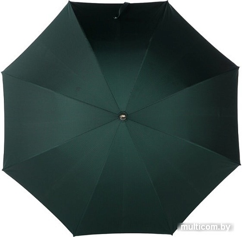 Pasotti Cervo Punto Verde