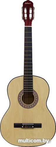 Акустическая гитара Belucci BC3905 N