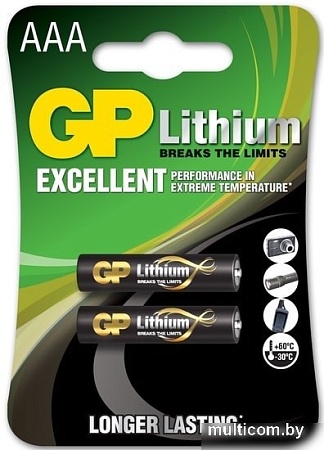 Батарейки GP Lithium AAA/24LF 2BP