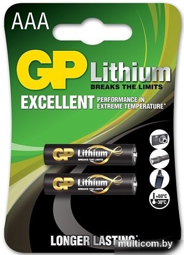 Батарейки GP Lithium AAA/24LF 2BP