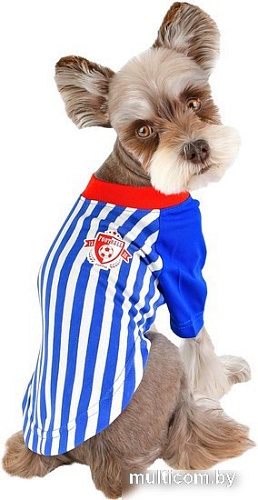 Футболка Puppia Striker PATA-TS1738-RB-M (голубой)