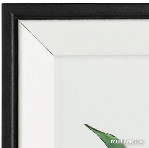 Фоторамка Eglo Renabie 423019