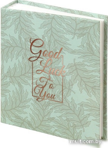 Фотоальбом BRAUBERG Папоротник 391171