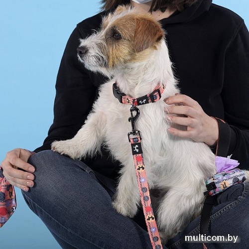 Ошейник United Pets Complete Me Forever Collar (S)