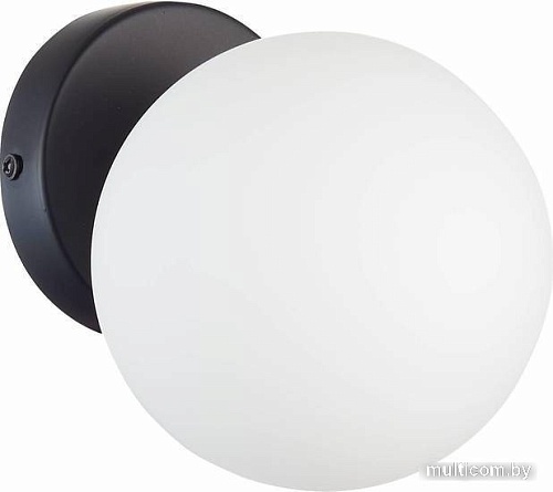 Бра Evoluce SLE220101-01 (черный/белый)