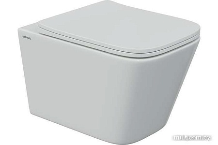 Унитаз Berges Wasserhaus Floe S Rimless 043242 (с сиденьем)