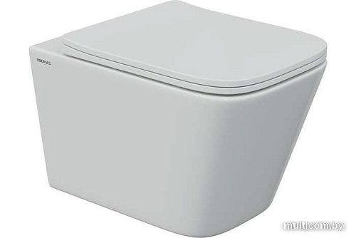 Унитаз Berges Wasserhaus Floe S Rimless 043242 (с сиденьем)