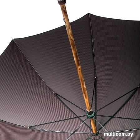 Pasotti Cervo Punto Verde