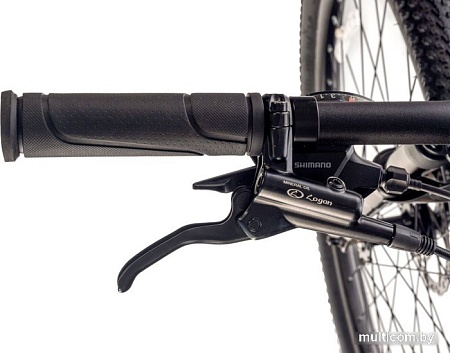 Велосипед Totem Master-29HDA (черный)