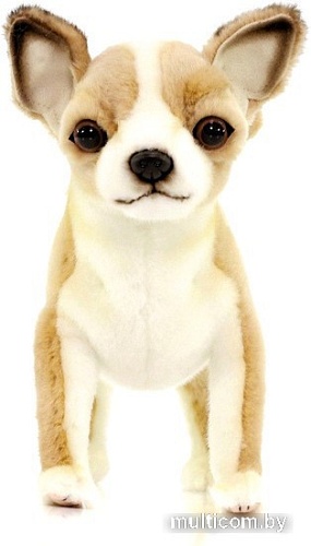 Классическая игрушка Hansa Сreation Чихуахуа 6295 (27 см)