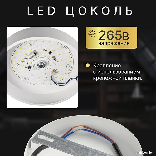 Припотолочная люстра Sundays Home 240924-22 5849