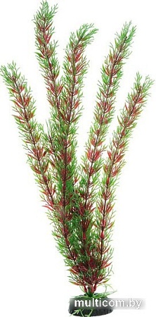 Искусственное растение Barbus Перестолистник Plant 001/30 (красный)
