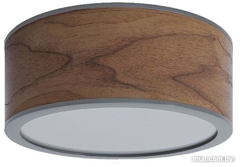 Припотолочная люстра Woodled Galactic Jupiter Chandelier S U-02-03-S