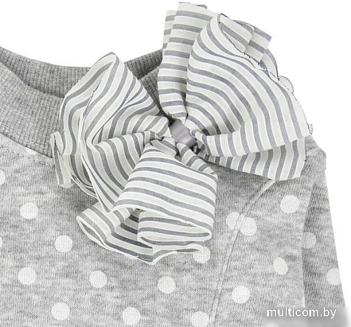 Свитер для животных Pinkaholic Ensley с юбкой NAUA-OP7617-MG-S (серый)