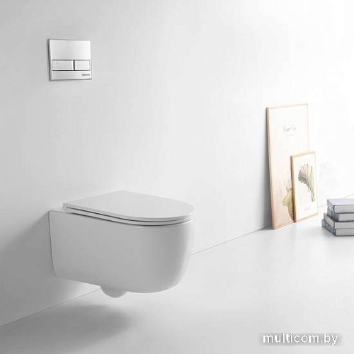 Унитаз Berges Wasserhaus Tornas Rimless 082137