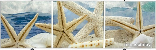 Фронтальный экран под ванну Comfort Alumin Морская звезда 3D 1.7