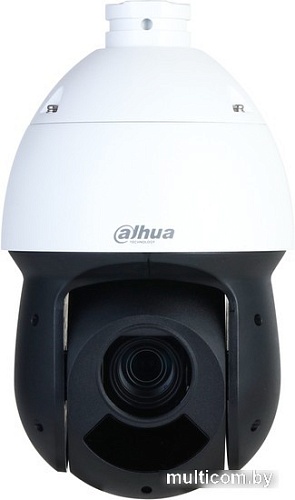 IP-камера Dahua DH-SD49216DB-HNY