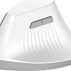 Вертикальная мышь Ajazz i300 (белый)