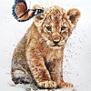 Картина по номерам Рыжий кот Пугливый львенок Х-4030