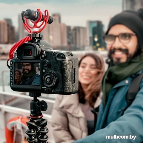 Микрофон RODE VideoMicro