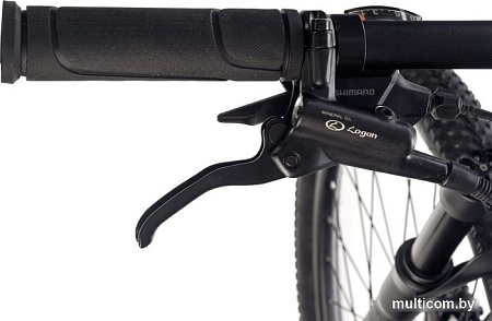 Велосипед Totem Cruiser-29HDA (серый)