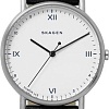 Наручные часы Skagen SKW6412
