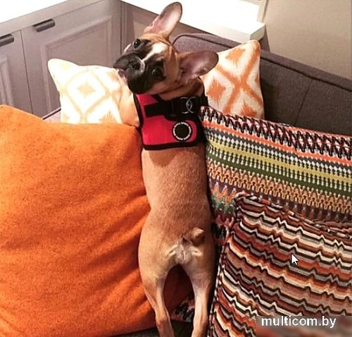 Шлейка-жилетка Puppia Soft Vest PAHA-AH305-RD-3L (красный)