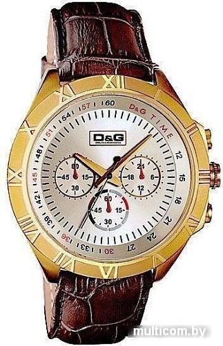 Наручные часы Dolce&Gabbana DW0433