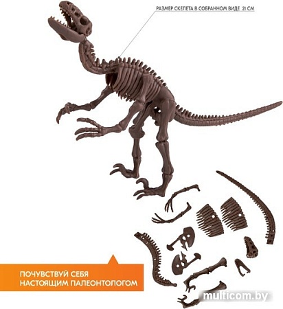 Набор для опытов 4M Раскопай скелет. Велоцираптор 00-13234