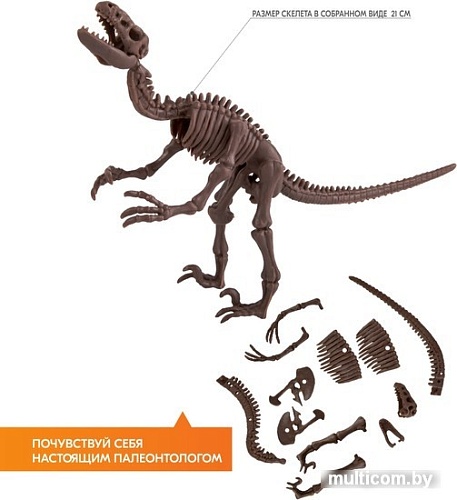 Набор для опытов 4M Раскопай скелет. Велоцираптор 00-13234