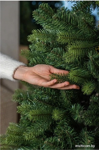 Ель Royal Christmas Bergen 971240 2.4 м