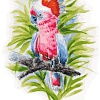 Картина по номерам Белоснежка Розовый попугай 361-AS