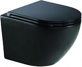 Унитаз WeltWasser Merzbach 041 MT-BL (черный матовый)