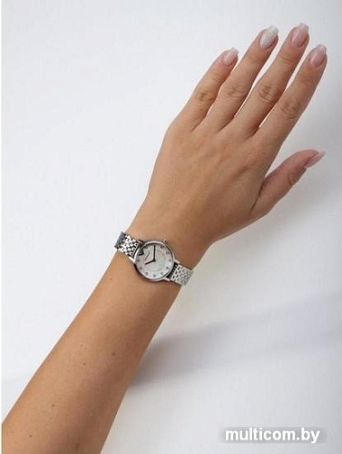 Наручные часы Emporio Armani AR2511