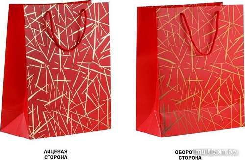 Пакет подарочный Perfecto Linea Emma 47-322603 (красный)