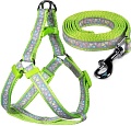 Шлея с поводком Triol Одуванчики-2 31491022 (S, серый/зеленый)