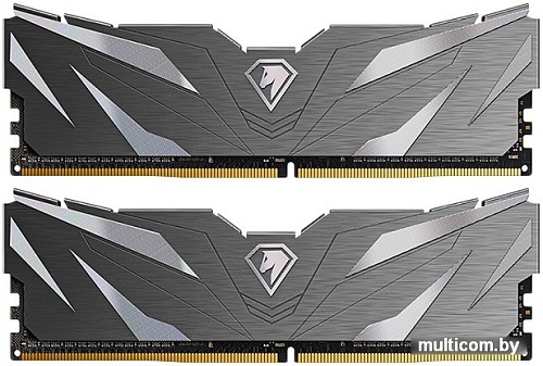 Оперативная память Netac Shadow II Black 2x8ГБ DDR4 3200МГц NTSWD4P32DP-16K