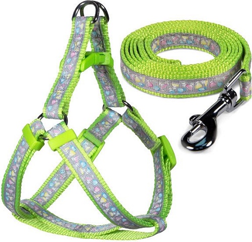 Шлея с поводком Triol Одуванчики-2 31491022 (S, серый/зеленый)