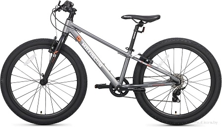 Велосипед Maxiscoo 5bike 24 M200 2025 MSC-M5-2412 (графит)