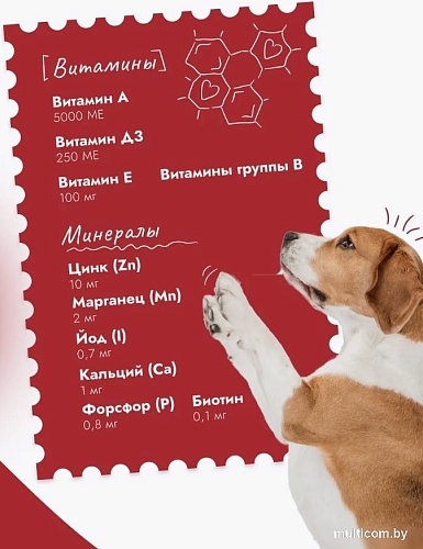 Консервированный корм для собак Best Dinner Для щенков и взрослых собак Ягненок с томатами (850 г)