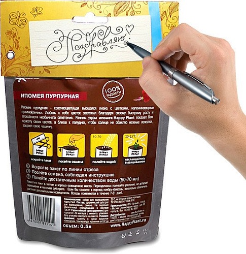 Набор для опытов Happy plant Бальзамин милашка hpn-31