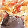 Феникс+ Кот с рыбами 68615