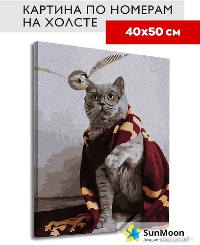 Kolibriki Кот Гарри Поттер VA-3040