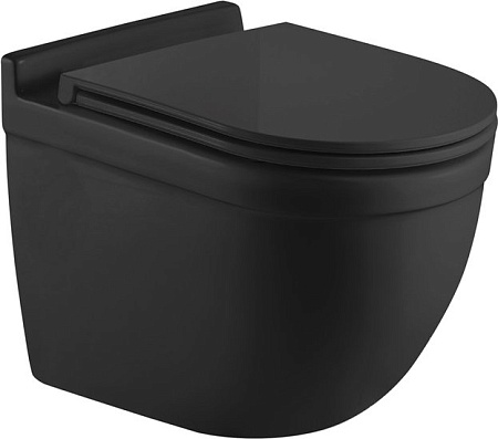 Унитаз WeltWasser Heimbach 041 MT-BL