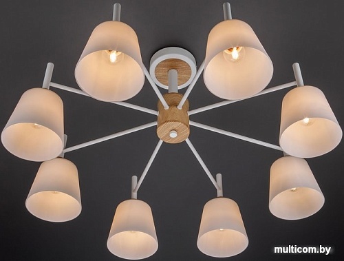 Люстра Евросвет 70085/8 (белый)