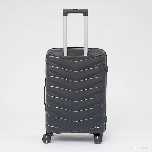 Чемодан-спиннер VALIGETTI 344-183/2-23DGR (серый)