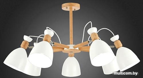 Люстра средней высоты Evoluce Balcamo SLE103802-07