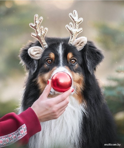 Рыжий кот Пес - красный нос Х-7553