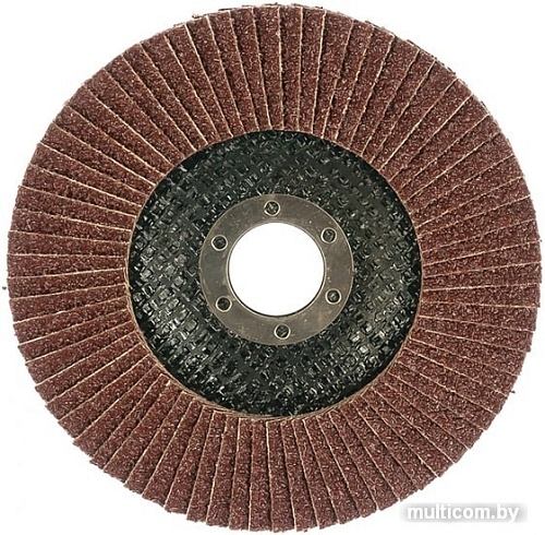 Шлифовальный круг Targ 663404